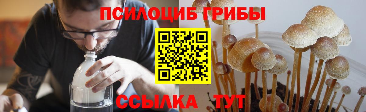 Галлюциногенные грибы мицелий  Галлюциногенные грибы прущие грибы  Вход с VPN  Балаково 